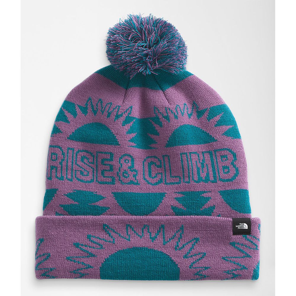 The North Face Beanies Womens Australia - The North Face Ski Tuke Purple Hiking (HYO-630894)